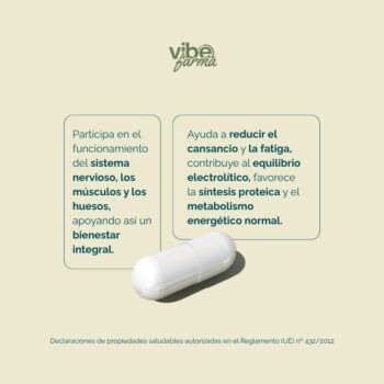 Alternative view of Magnesio Essentials