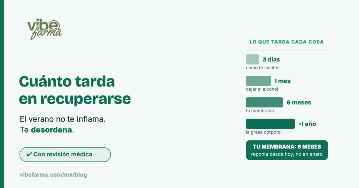 Cuánto tarda en recuperarse cada cosa tras el verano: 3 días, 1 mes, 6 meses la membrana y más de un año la grasa corporal