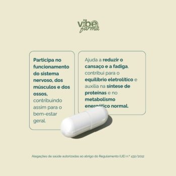 Alternative view of Magnesio Essentials