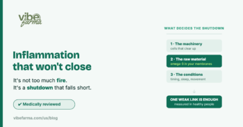 Inflammation that will not close: the three parts that decide the shutdown, machinery, omega-3 raw material and conditions