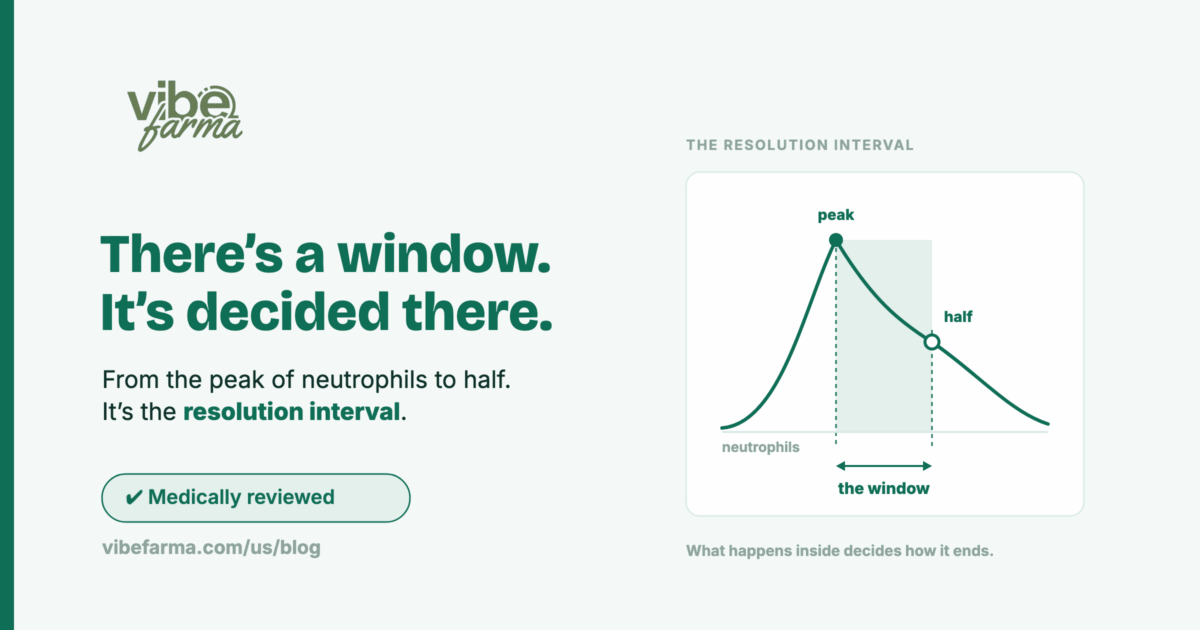 Neutrophil curve showing the peak, the fall to half, and the resolution interval shaded between them