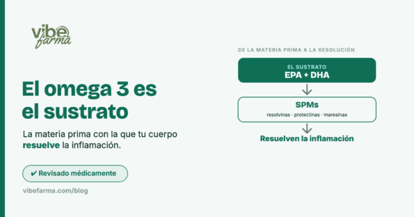 sustrato-portada@2x